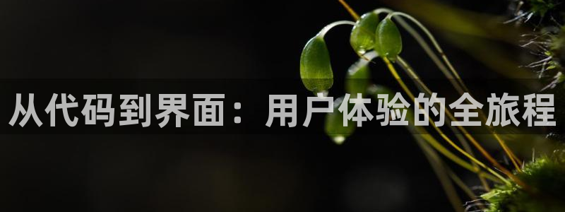 辉达平台注册资金多少：从代码到