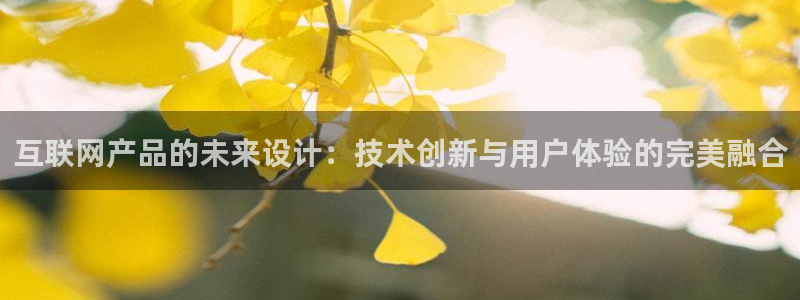 辉达娱乐丿39444